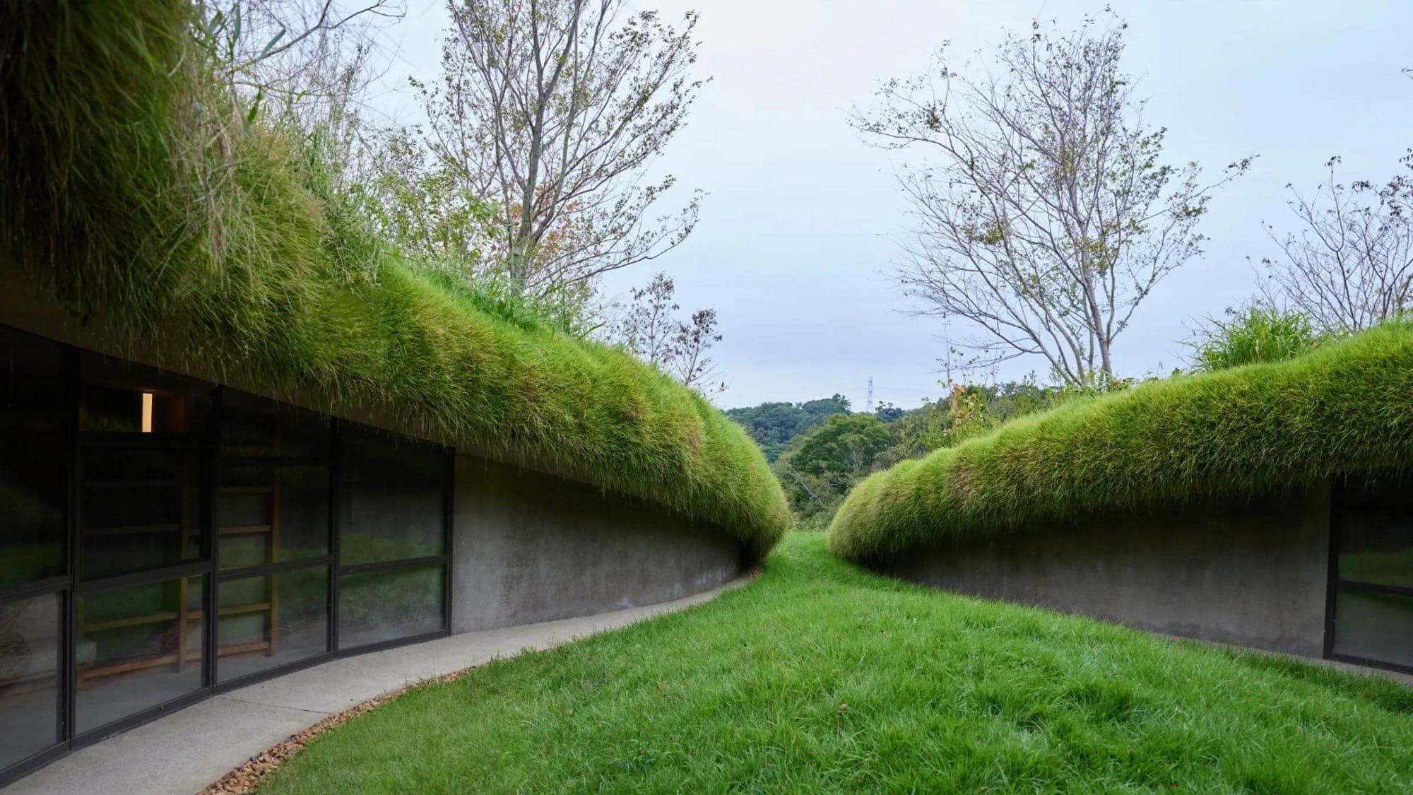 🌿 쿠루쿠 필즈 (쿠루쿠 휘루즈) 이미지 9